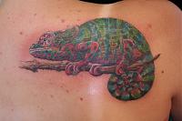 Click image for larger version. 

Name:	IMG_4986.jpg 
Views:	19 
Size:	91.1 KB 
ID:	10323