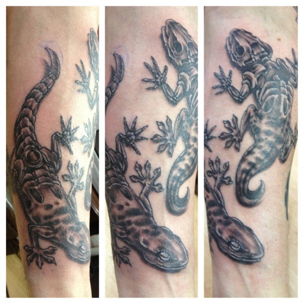 Clive's geckos @ Enter the Void Limited
