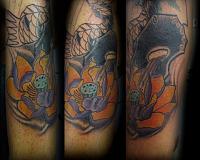 Click image for larger version. 

Name:	koi dragon1.jpg 
Views:	51 
Size:	54.7 KB 
ID:	10979