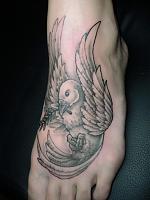 Click image for larger version. 

Name:	dove.jpg 
Views:	95 
Size:	91.3 KB 
ID:	11375