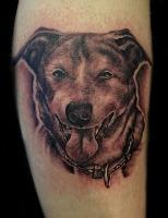 Click image for larger version. 

Name:	dog2.jpg 
Views:	35 
Size:	86.5 KB 
ID:	12591