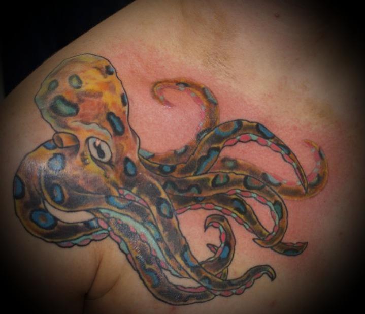 octopus f
