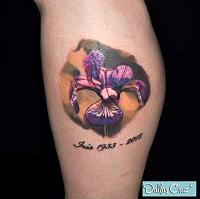 Iris