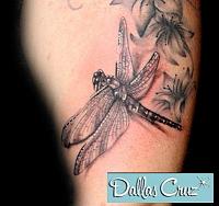dragonfly