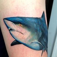 Click image for larger version. 

Name:	IMG_1629.jpg 
Views:	83 
Size:	83.0 KB 
ID:	15926