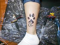 Click image for larger version. 

Name:	DSCN3346.jpg 
Views:	47 
Size:	100.1 KB 
ID:	16372