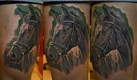 Click image for larger version. 

Name:	cata1nt.jpg 
Views:	146 
Size:	92.5 KB 
ID:	16801