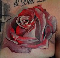 Click image for larger version. 

Name:	nt2.jpg 
Views:	121 
Size:	33.9 KB 
ID:	17033