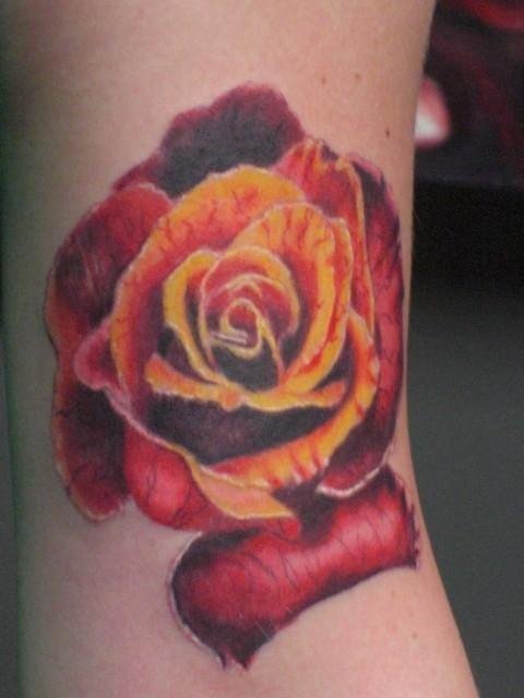 Rose Tattoo