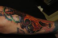 Spring Bok Skull Tattoo 1