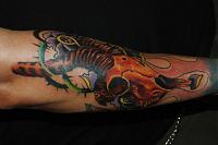 Spring Bok Skull Tattoo 2