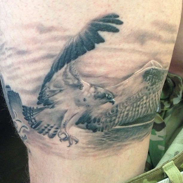 healed seahawk. wrap around. will post more pics.