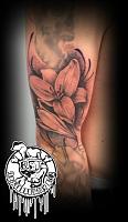 Click image for larger version. 

Name:	483962_10151521415028866_2000873982_n.jpg 
Views:	50 
Size:	53.7 KB 
ID:	18159