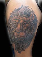 Click image for larger version. 

Name:	lion cover up.jpg 
Views:	16 
Size:	48.0 KB 
ID:	1838