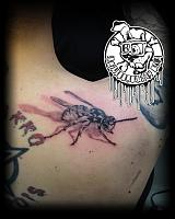 Click image for larger version. 

Name:	bee.jpg 
Views:	68 
Size:	86.1 KB 
ID:	18769