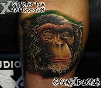 Click image for larger version. 

Name:	chimp.jpg 
Views:	37 
Size:	31.9 KB 
ID:	1957
