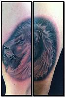Click image for larger version. 

Name:	lion.jpg 
Views:	61 
Size:	90.7 KB 
ID:	19596