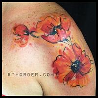 Click image for larger version. 

Name:	IMG_0009.jpg 
Views:	92 
Size:	91.3 KB 
ID:	20434