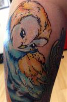 Owl On sarah