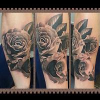 Click image for larger version. 

Name:	58609_618506564856398_468257048_n.jpg 
Views:	60 
Size:	91.7 KB 
ID:	21040