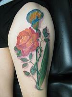 Click image for larger version. 

Name:	1468570_541028129308526_1402556163_n.jpg 
Views:	37 
Size:	91.4 KB 
ID:	22587