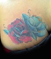Click image for larger version. 

Name:	red and blue cover.jpg 
Views:	50 
Size:	63.0 KB 
ID:	2320