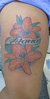 Click image for larger version. 

Name:	tiger lily1.jpg 
Views:	36 
Size:	37.0 KB 
ID:	2321