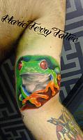 Tree Frog