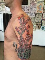 Click image for larger version. 

Name:	Succulent.jpg 
Views:	87 
Size:	43.7 KB 
ID:	25772
