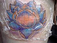 Click image for larger version. 

Name:	lotusflower.jpg 
Views:	43 
Size:	66.6 KB 
ID:	2592