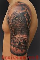 jareds owl