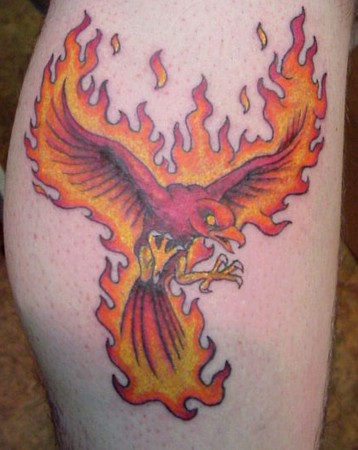 Phoenix by Mr Taboo