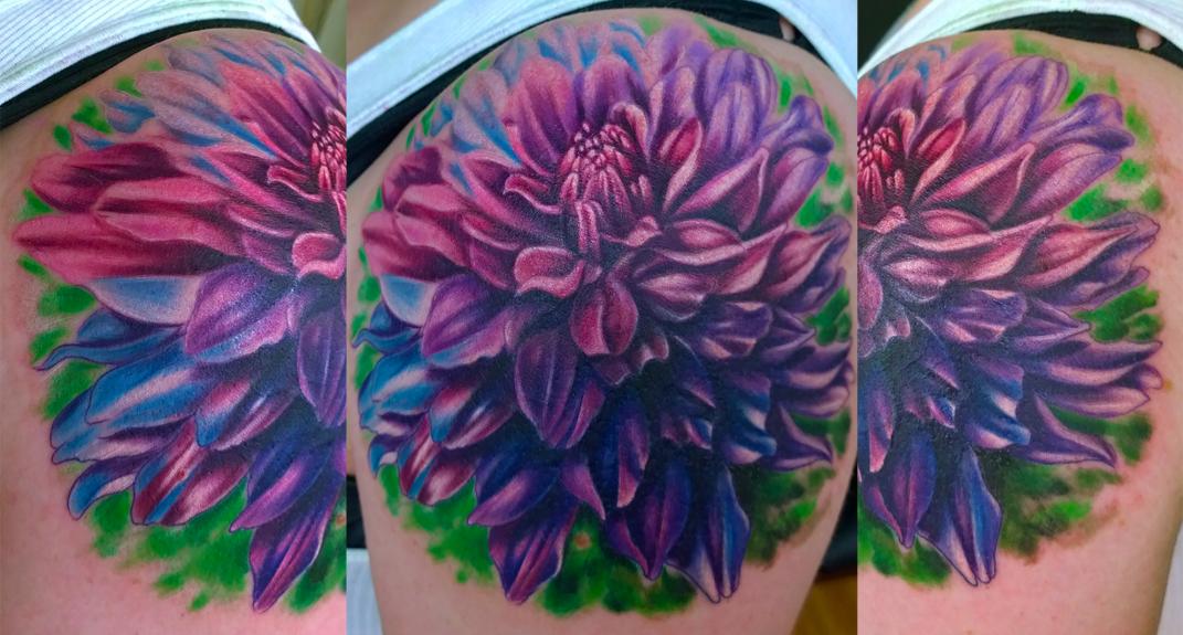 dahlia cover up