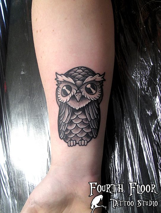 Owl