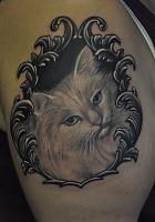 White cat