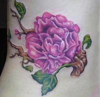 Click image for larger version. 

Name:	flowerstem1.jpg 
Views:	36 
Size:	87.0 KB 
ID:	3176