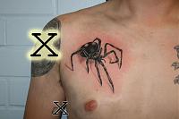 Click image for larger version. 

Name:	spider.jpg 
Views:	76 
Size:	79.4 KB 
ID:	3425