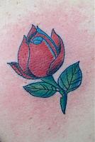 Click image for larger version. 

Name:	40 rose.jpg 
Views:	39 
Size:	67.0 KB 
ID:	3468