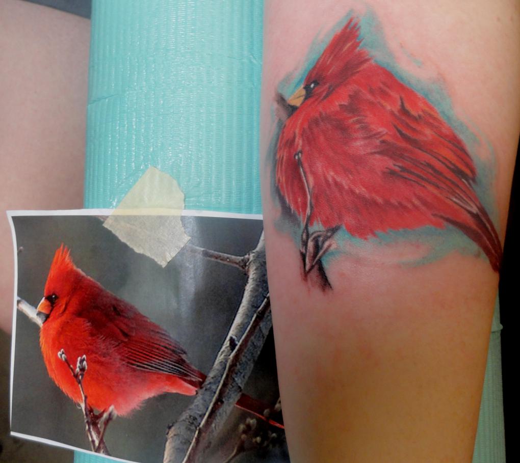 cardinal