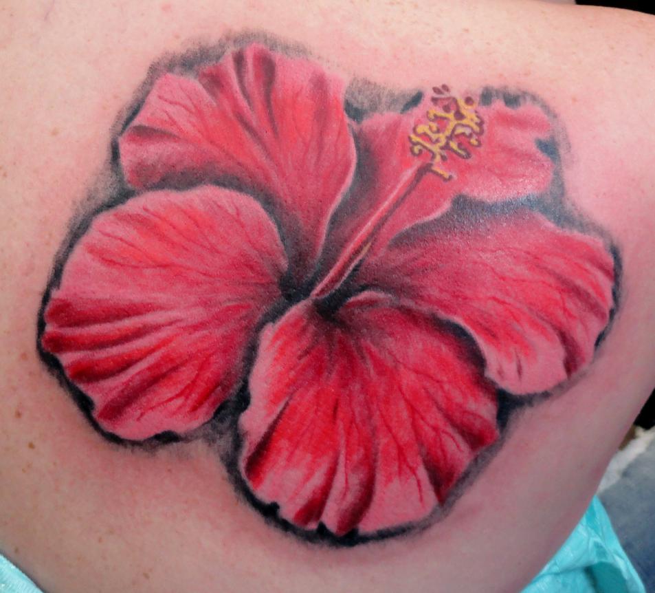 hibiscus flower