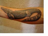 Click image for larger version. 

Name:	y_75e35c26.jpg 
Views:	28 
Size:	51.7 KB 
ID:	4173