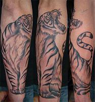 Click image for larger version. 

Name:	tiger progress 01.jpg 
Views:	53 
Size:	59.4 KB 
ID:	4176