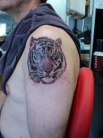 Click image for larger version. 

Name:	DSC00469.jpg 
Views:	25 
Size:	88.6 KB 
ID:	4429
