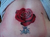 DSC00350