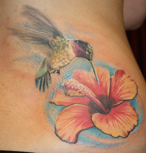 hummingbird2