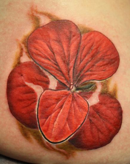 geranium