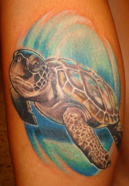 sea turtle