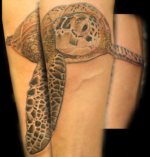 Sea turtle SLEEVE