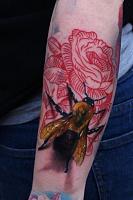 Click image for larger version. 

Name:	DSC07001.jpg 
Views:	90 
Size:	28.0 KB 
ID:	6438
