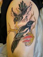 Magpies